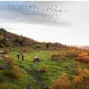 2026년 가을 특산 (McAfee Knob and Mount Rogers) 이미지