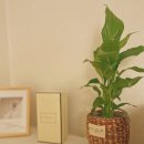 나만의 마크라메 만들기 이미지