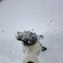 홍당무PC방 이미지