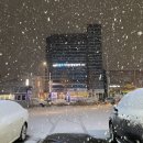 [아산] 배방 천상대게 킹크랩 먹고 사랑이 샘솟은 날♥︎