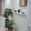 사임당로1길 24 이미지