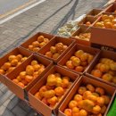 호남청과 | 과일총각 호남청과 700에서 경험한 신선함 가득한 방문 후기 제목