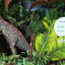 석탄박물관 이미지