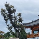 써니네 잡화점 | [경주 황리단길 먹거리] 탕후루, 슬기로운 과자생활, 써니네 잡화점, 커피에 반하다 후기