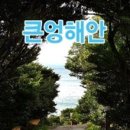 남원적십자봉사회 | 남원 문화의 거리/詩가 있고 음악이 흐르며 갯내음이 풍기는 해안