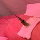 회룡본한의원 이미지