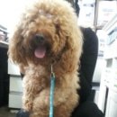 우리은행 횡단보도 이미지