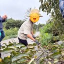 풀빛향기 이미지