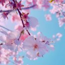 주원장한의원 이미지