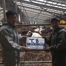 청정농장 이미지