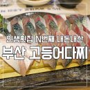 다나네수족관 | [부산맛집 내돈내산] 부산 토박이도 추천하는 마성의 고등어회 | 고등어다찌 솔직 후기