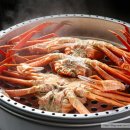 박달농산 | 국내산 제철 박달 대게 홍게 게 포항 구룡포(대한민국수산)