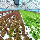 수현농장 이미지