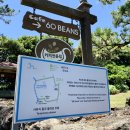 제주 올레길 7코스 이미지