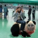 용호운동장 이미지