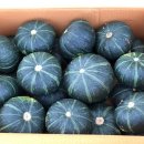 은선농장 이미지