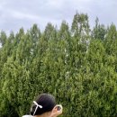 세이헤어 이미지