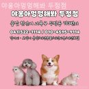 야옹아멍멍해봐(두정점) | 천안 강아지분양 야옹아멍멍해봐 두정점 진심이 통하는 분양 전문가
