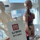 SJ.테라피
