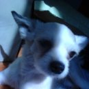 괴정2동-19 이미지