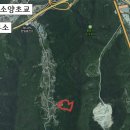 만평2공인중개사사무소 티스토리