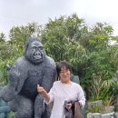 박배덕갤러리마당 네이버블로그