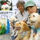 채식과환경 연합뉴스