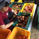 형준농장 이미지