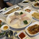 싱싱활어도매센타 | 군산 횟집 추천 미장동 장땡활어 도매센터 단체 가족모임 내돈내산후기