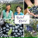 협동조합 오성 이미지