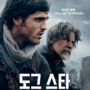 도그스타 네이버블로그