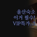 루바토호텔 | 울산 호텔 추천 | 가성비 솔직 후기 루바토 VIP호텔 2곳 비교 분석 | 출장 여행 숙소 꿀팁