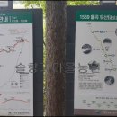 오대산 힐링이야기 이미지