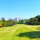 현충원로(유성-18) 이미지