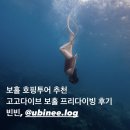 고고환경 | 보홀 호핑 투어 고민한다면 들어오세요, 고고다이브 보홀 내돈내산 후기, 발라카삭, 나팔링 프리다이빙