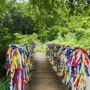 웅지와 나옹이 | [미륵의 고장 안성 8] 경기도 안성시 죽산면 칠장사