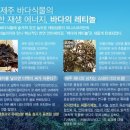 제주청정스팟