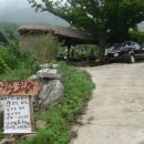 소나무쉼터 민박 이미지