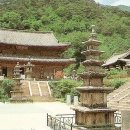 소설처럼영화처럼