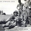 베트남 정글에서 한국군이 잡은 호랭이... 이미지