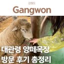 세라목장 이미지