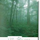 나무와 숲 이미지