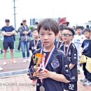 제6회 전국 리틀월드컵 유소년 축구대회 단체2 이미지