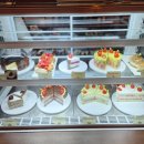 성북동1 | 성북동 한성대입구역 누하주 한옥 감성 카페 | 데이트하기 좋은 조용한 디저트카페