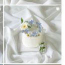 디데이크 | 성수 디데이크 (생화 케이크) 후기