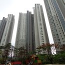 산호대로-26 이미지