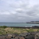 별도연대 이미지