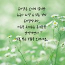 "실명 1위 질환" 노안으로 착각하기 쉬운 치명적인 증상 3가지. 이미지