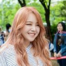 모니 Daum카페