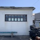 하하호호마을 | 제주 우도 맛집 하하호호 흑돼지 수제버거 내돈내산 후기
